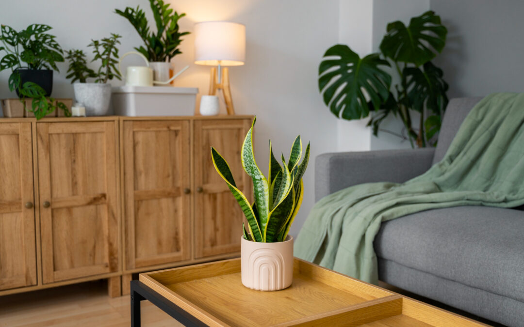 Salon chaleureux avec buffet en bois, plantes vertes et canapé gris